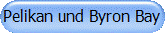 Pelikan und Byron Bay